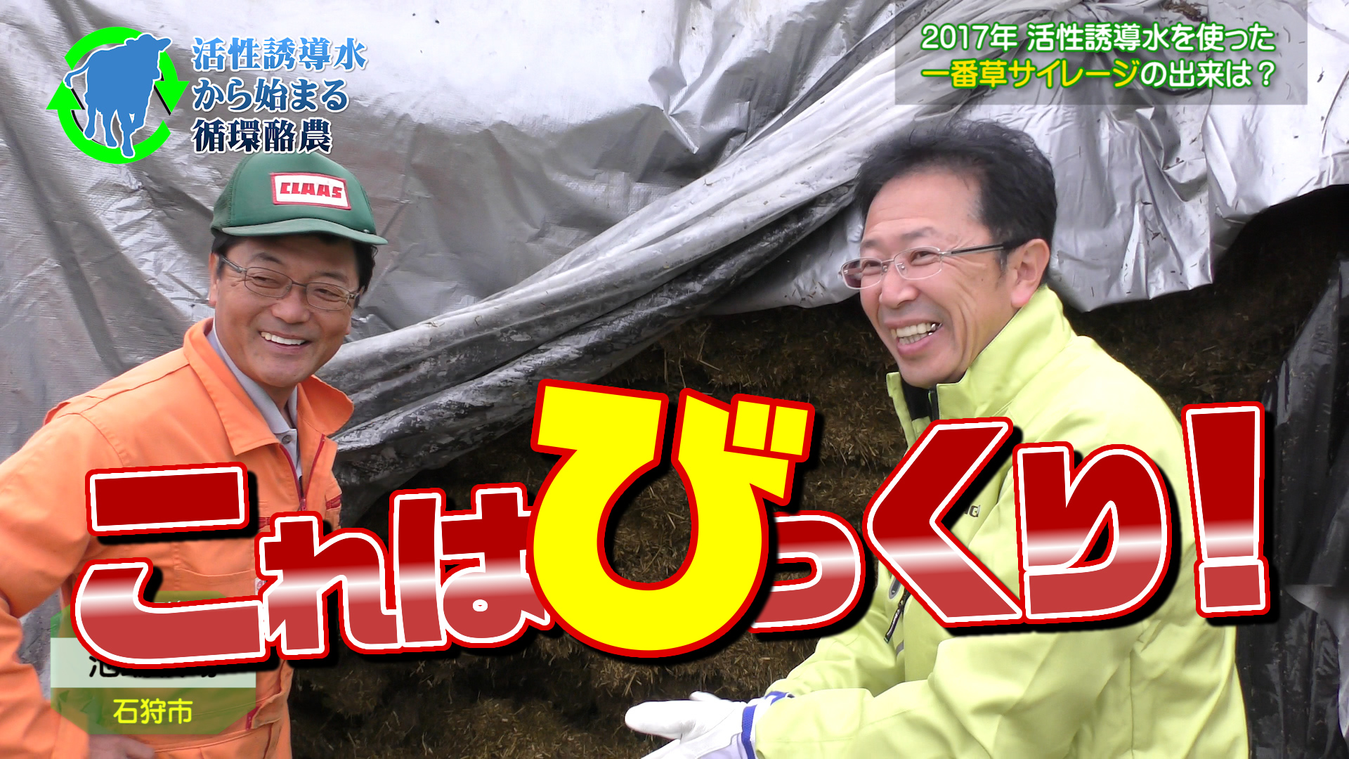 2017活性誘導水を添加した一番牧草の出来具合は？【DNW第４回】