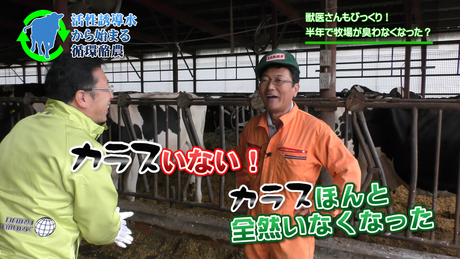 獣医さんも実感！牛舎のニオイが激減！カラスもいなくなった？デイリーネットワーク【第５回】