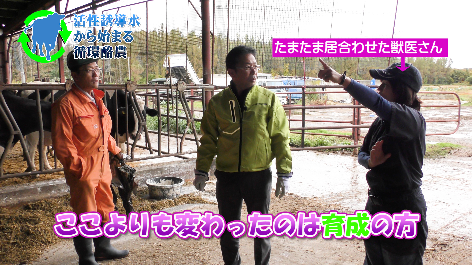 獣医さんもびっくり！ふん尿のニオイが激減！カラスはどこへ？