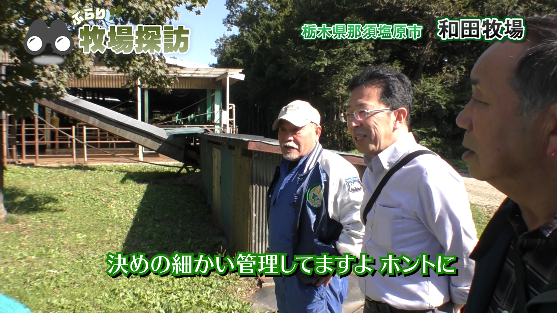 ３０年前から作業自動化！栃木県 和田牧場