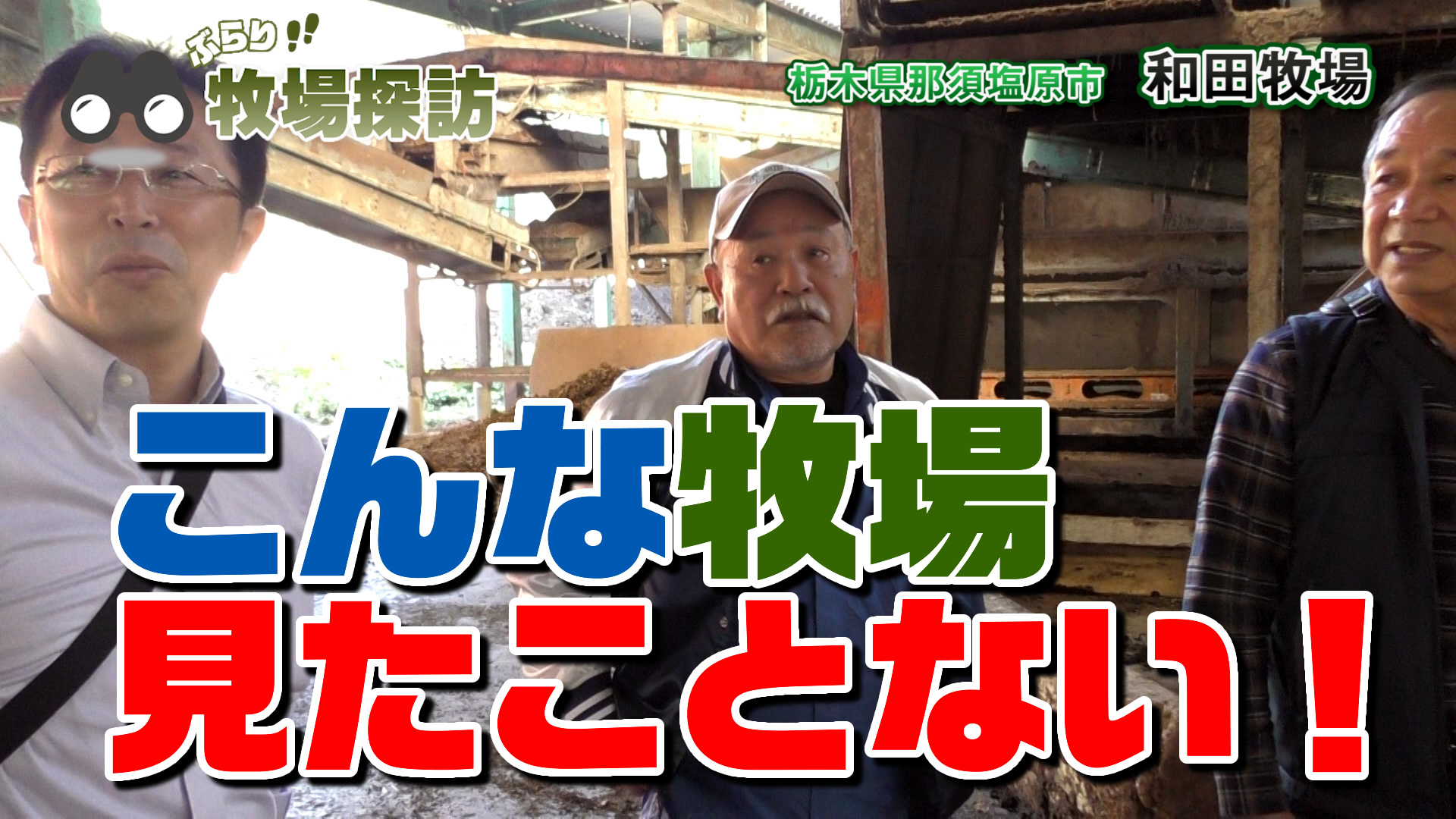 ３０年前から作業自動化？え～っ！こんな牧場見たことない！デイリーネットワーク【第７回】