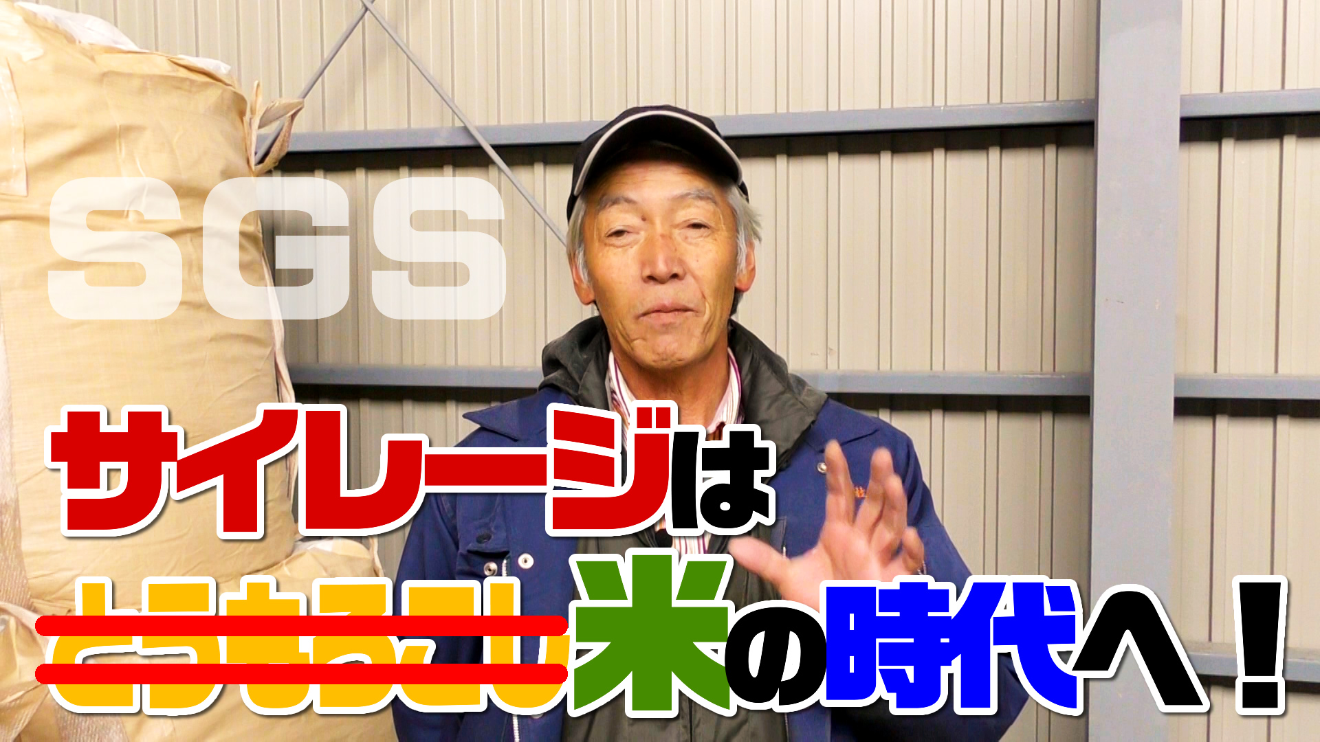 サイレージはデントコーンから米の時代へ！デイリーネットワーク【第１３回】