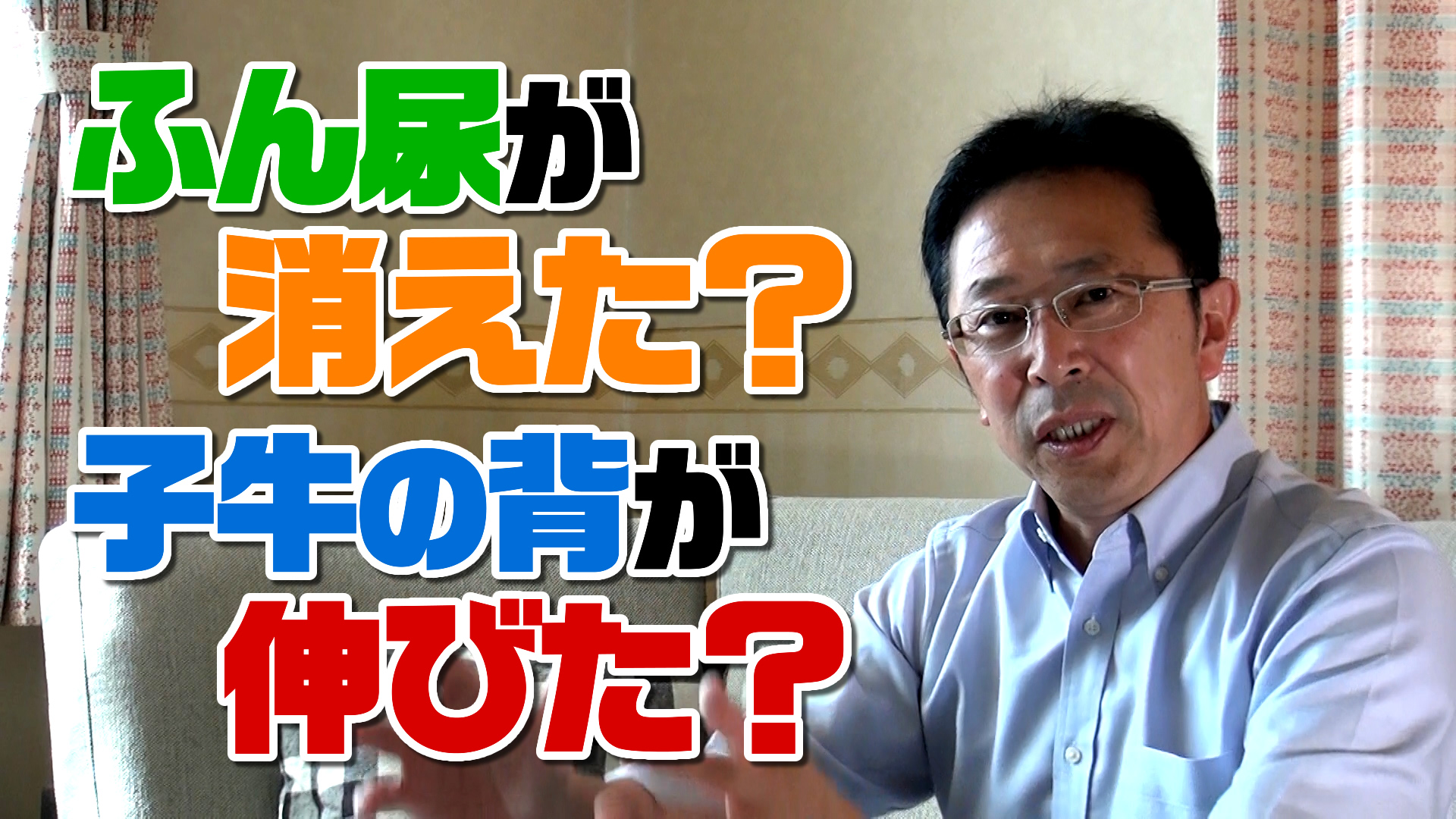 ふん尿が消えて子牛の背が伸びる？デイリーネットワーク【第11回】