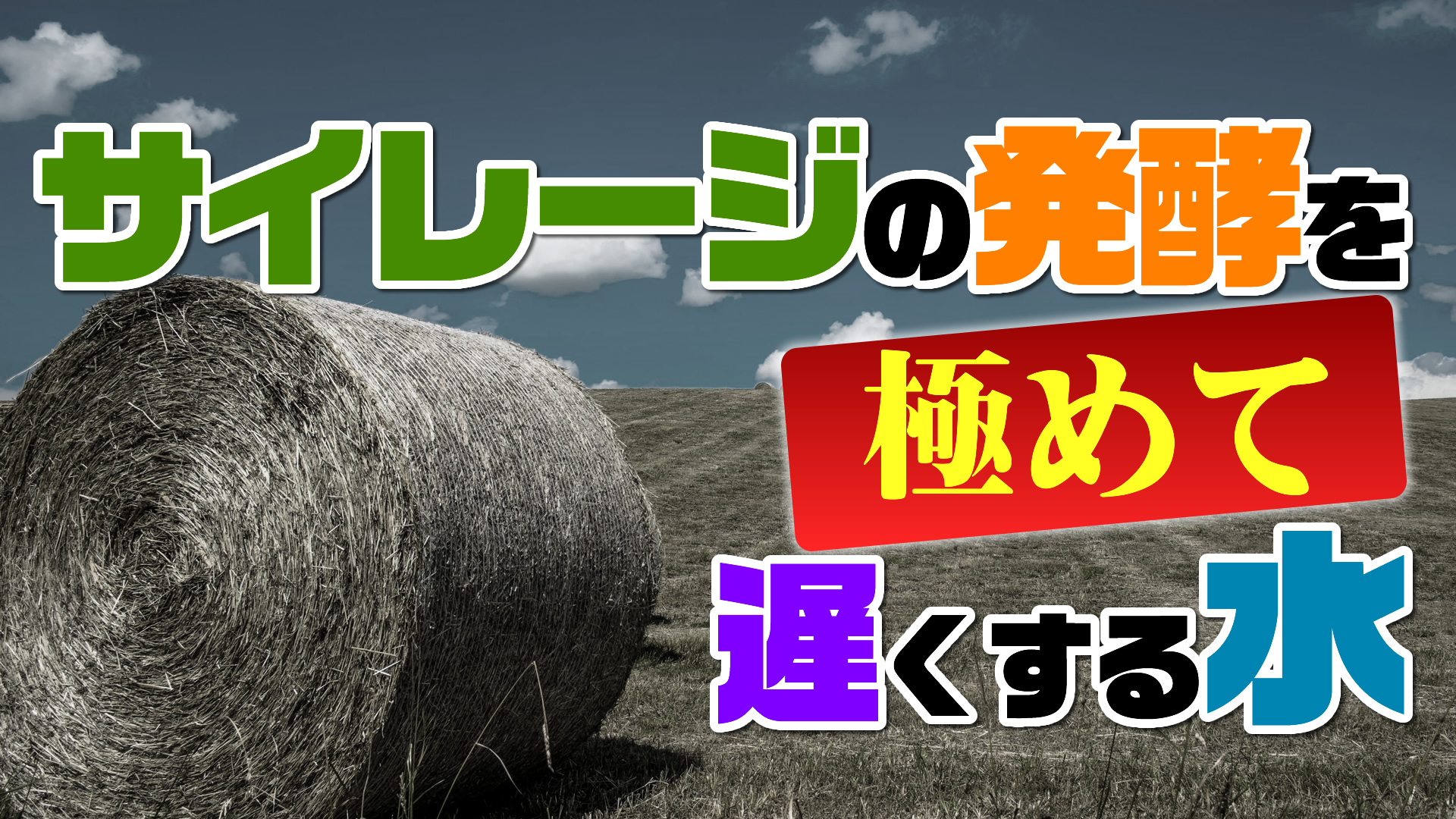 サイレージの発酵を極めて遅くする水？デイリーネットワーク【第１７回】