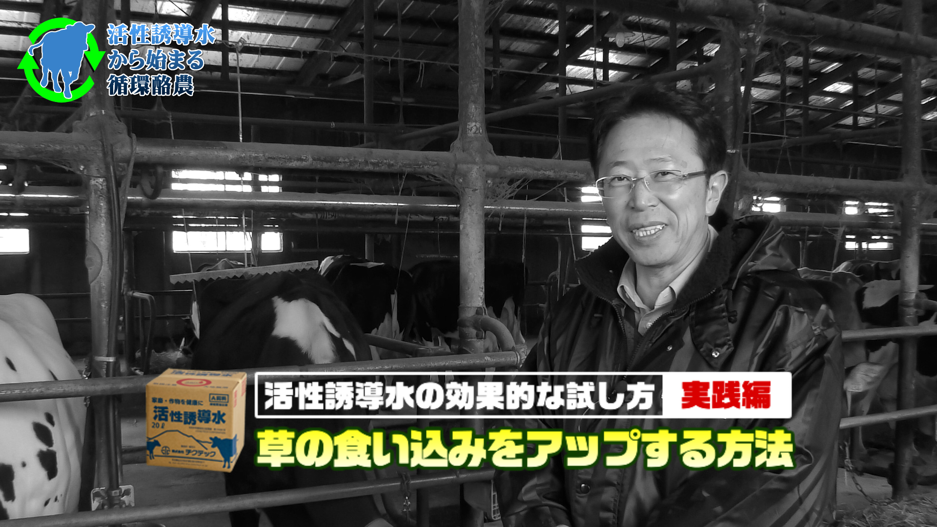 牧草の食い込みを簡単にアップさせる方法！