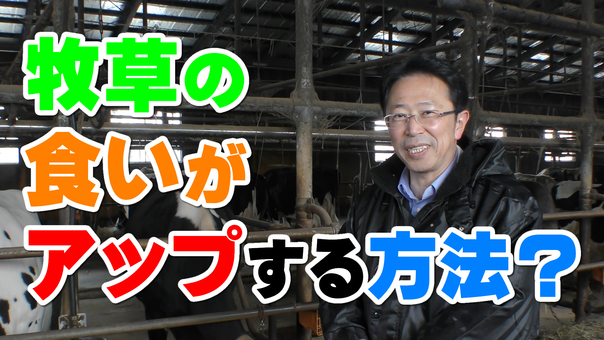 【実践】牧草の食い込みをアップする方法！デイリーネットワーク【第２２回】