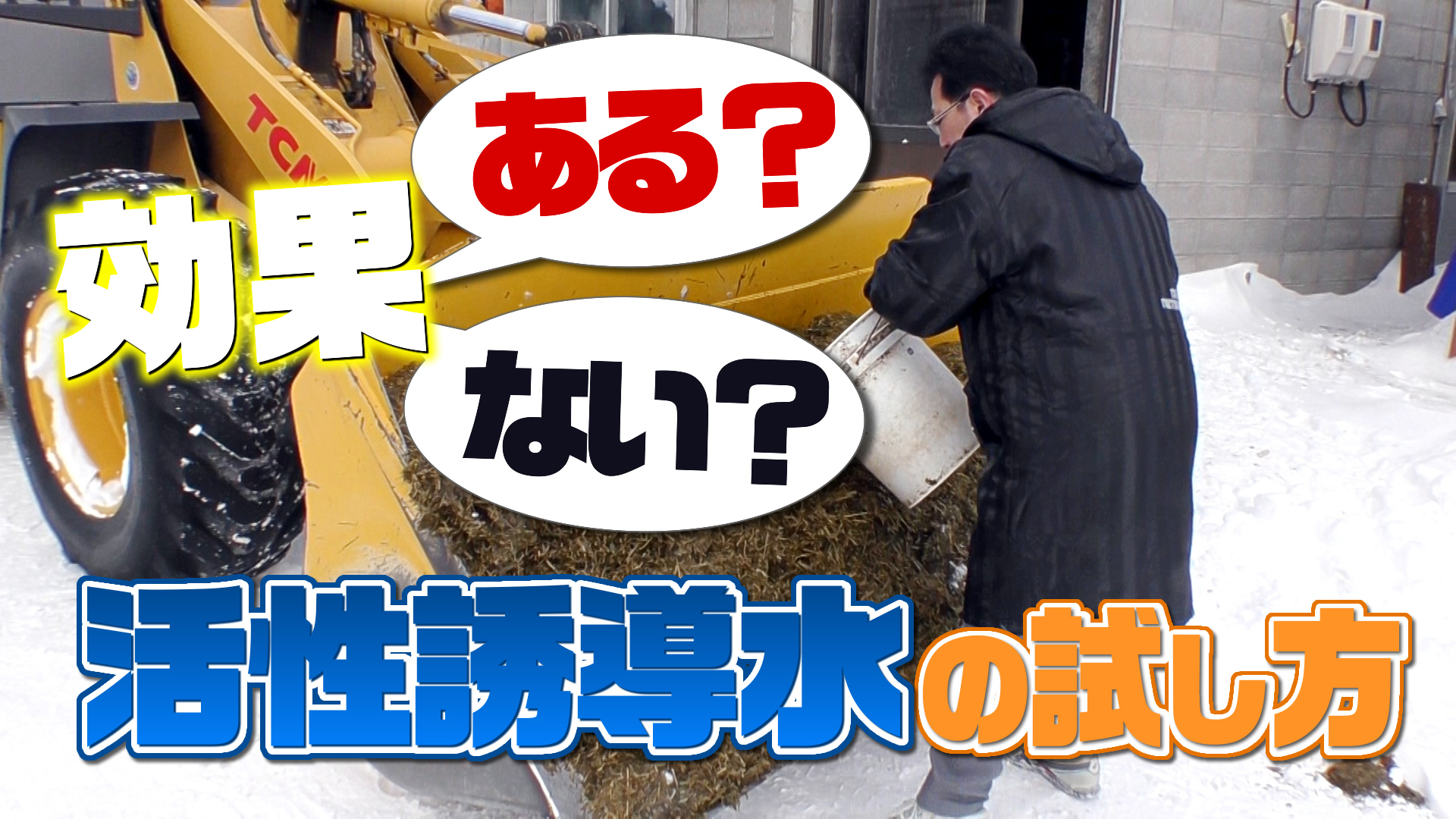 【実践編】活性誘導水の試し方！飼料（TMR）の場合は？デイリーネットワーク【第１９回】