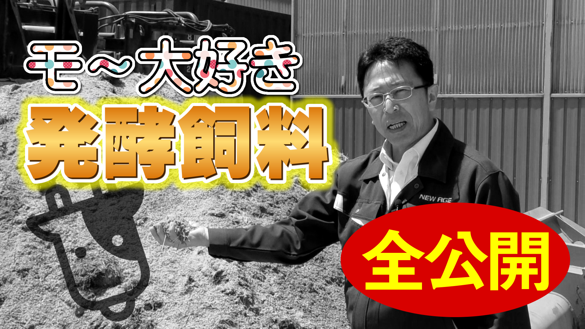 【全公開】牛が喜んで食べる美味しい発酵飼料の作り方！デイリーネットワーク【第３５回】