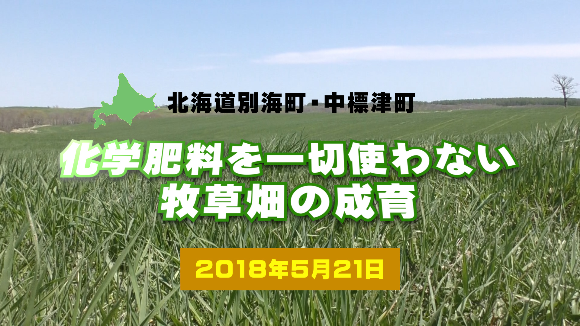 【道東】スラリーだけで大丈夫？化学肥料一切なしの牧草の成育（2018/5/21）　デイリーネットワーク【第３７回】