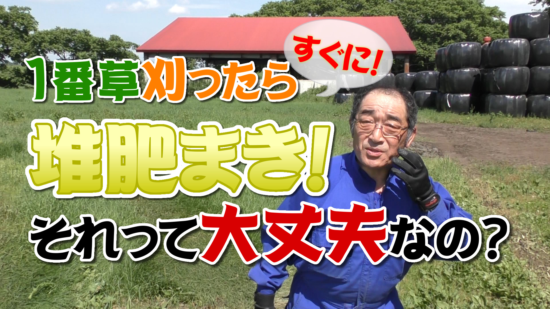 大丈夫？１番草刈ってすぐ堆肥撒き？！デイリーネットワーク【第４６回】