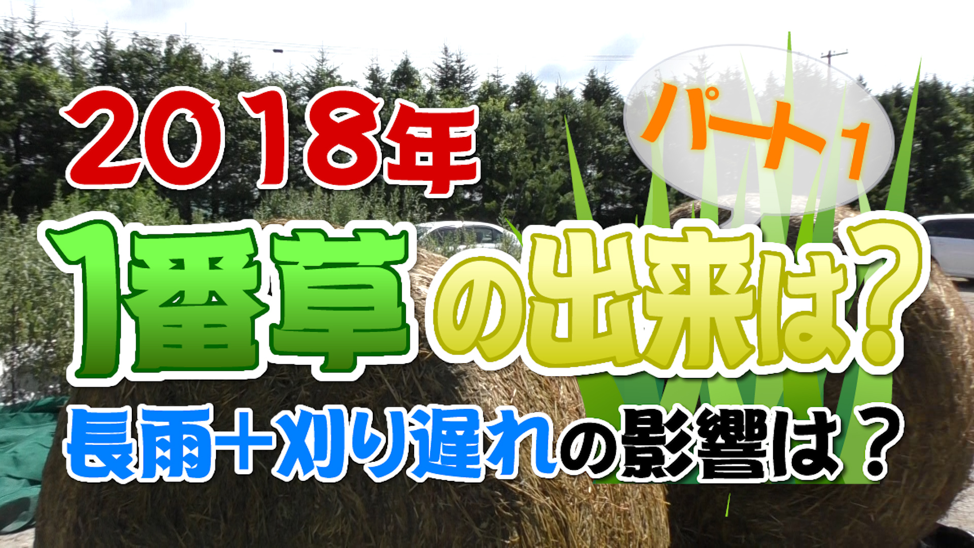 ２０１８年１番草の出来は？パート１　デイリーネットワーク【第４７回】