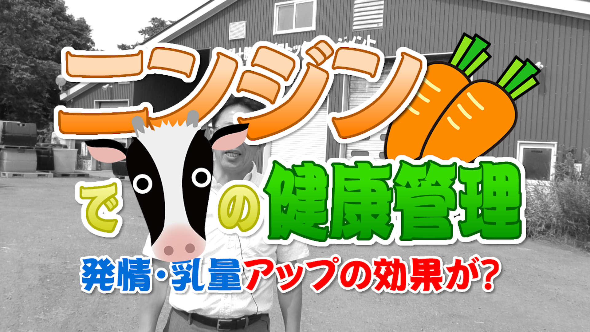 ニンジンで牛の健康管理！発情・乳量アップの効果が？デイリーネットワーク【第４９回】