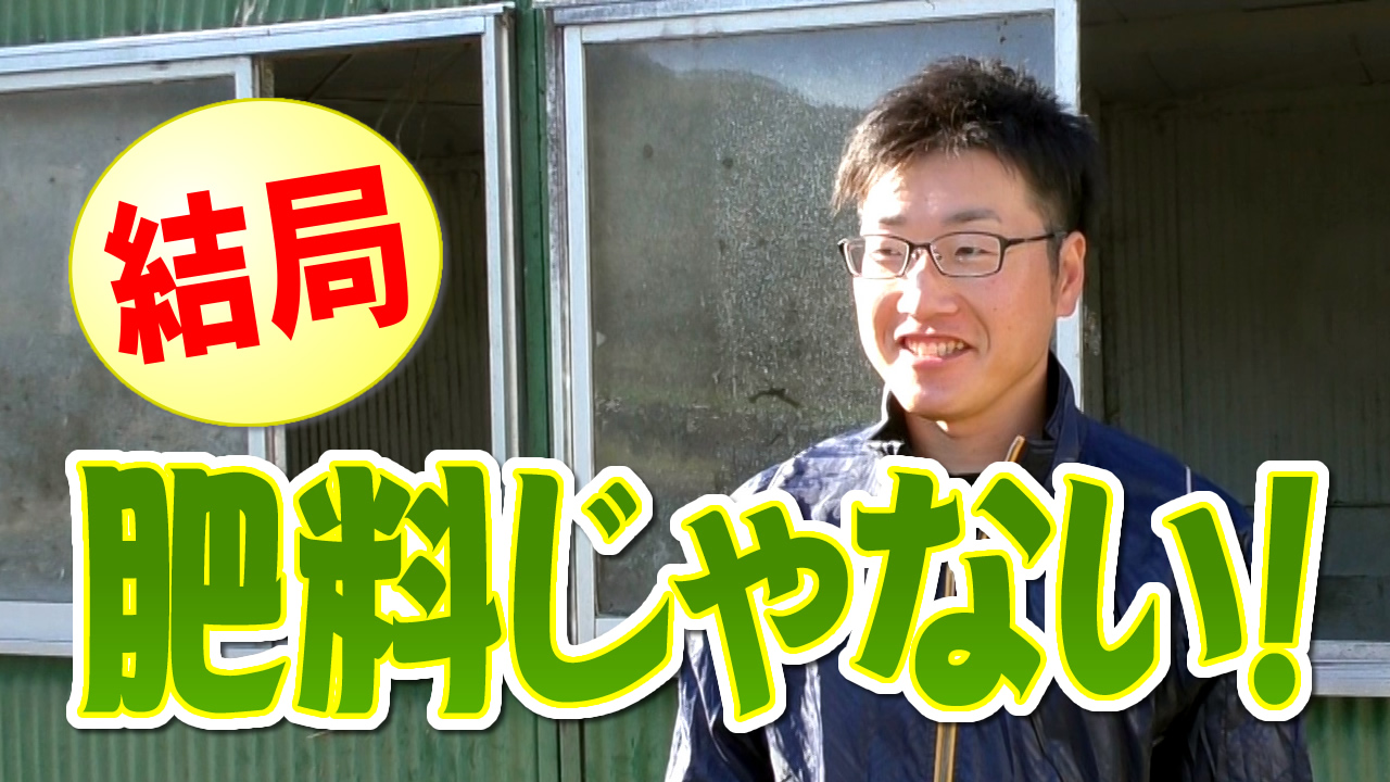 結局、肥料じゃない！デイリーネットワーク【第５７回】