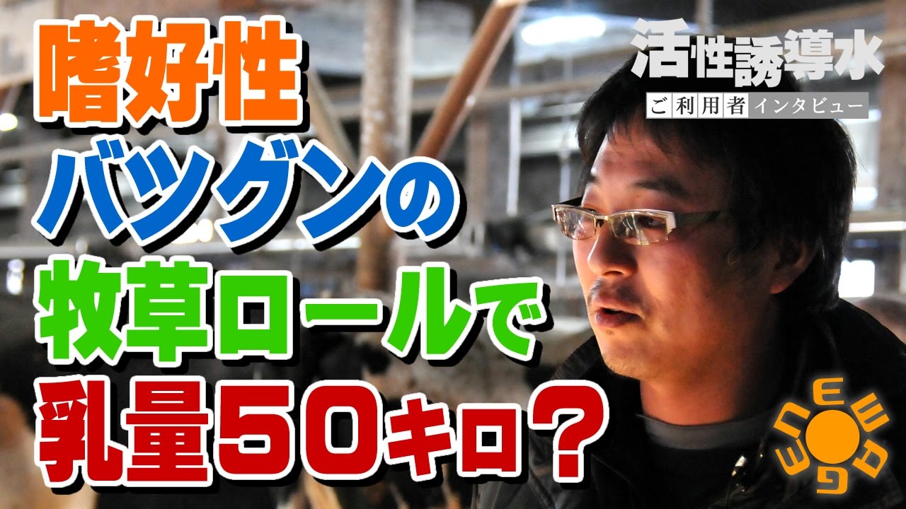 嗜好性バツグンの牧草で乳量５０キロ？