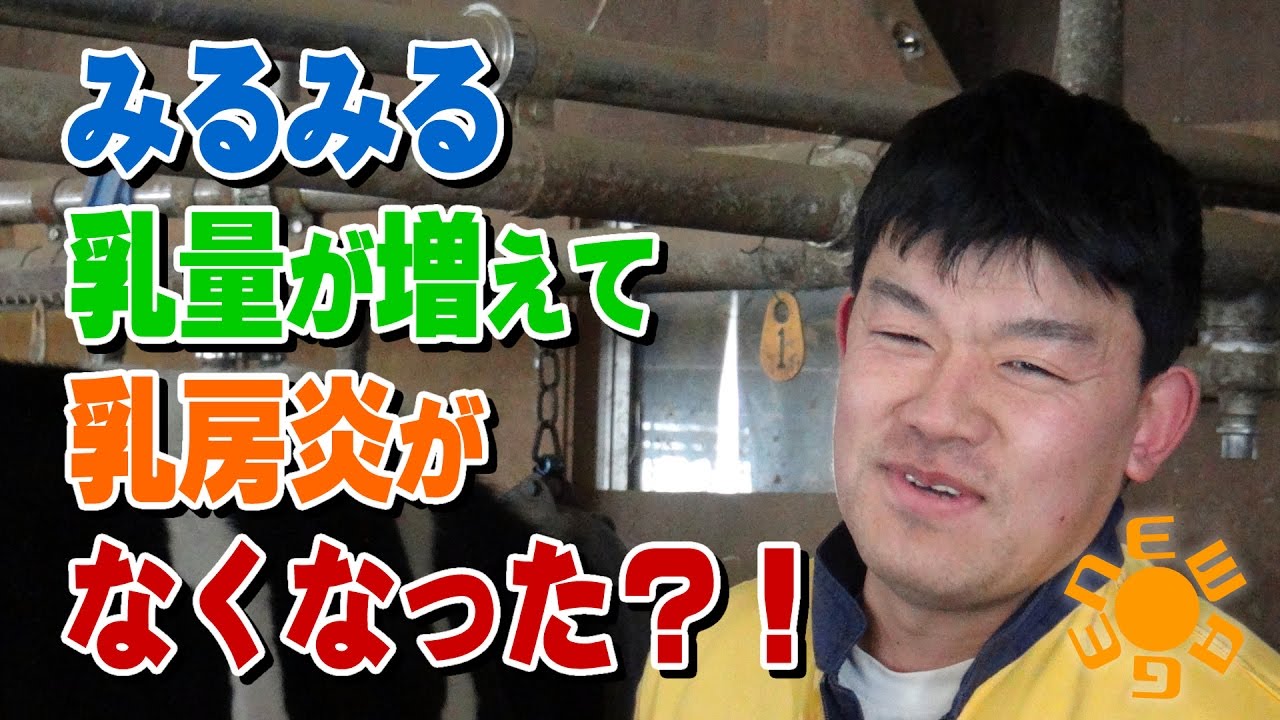 みるみる乳量が増えて乳房炎がなくなった？