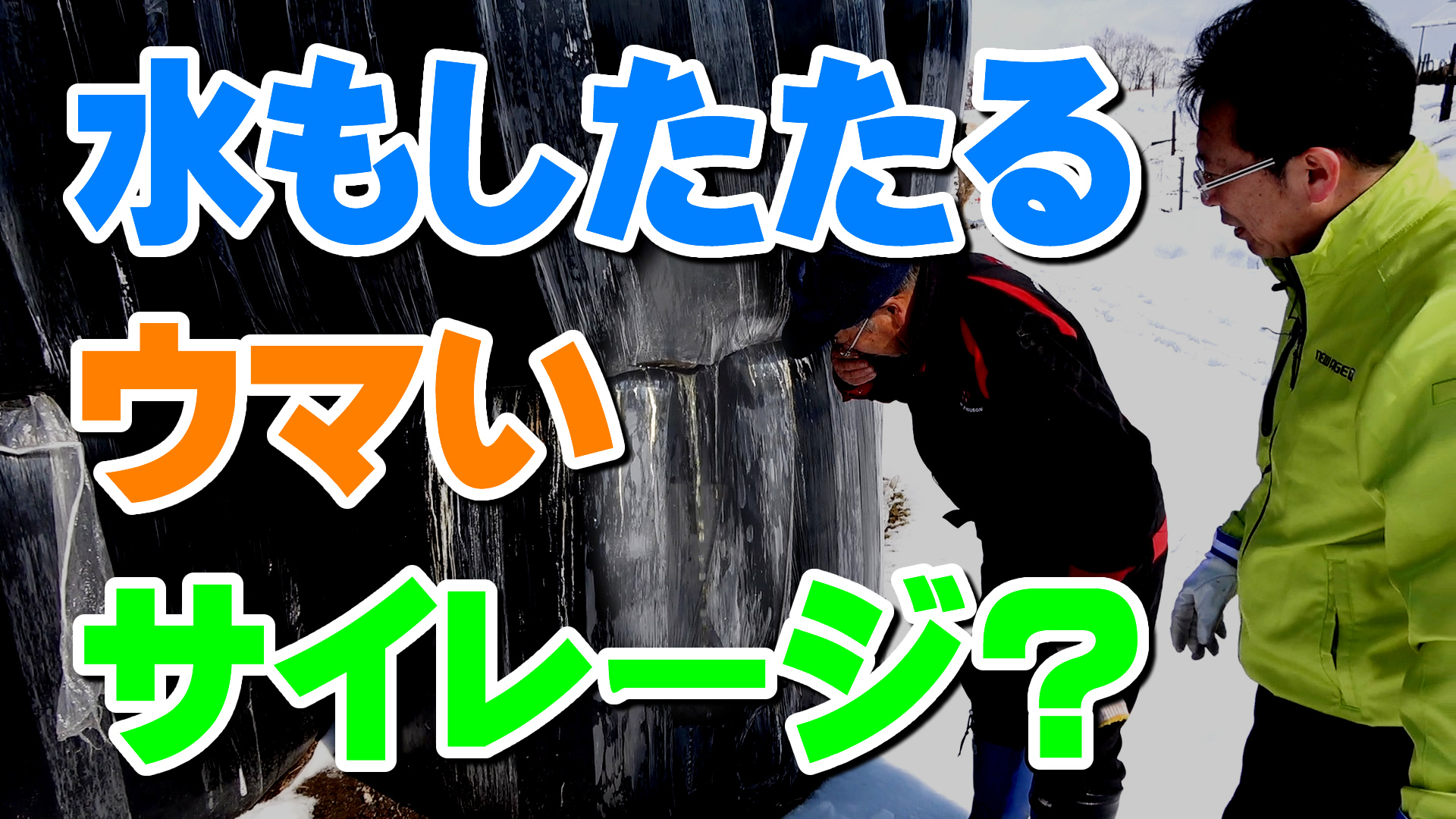 水もしたたるウマいサイレージ？デイリーネットワーク【第７８回】