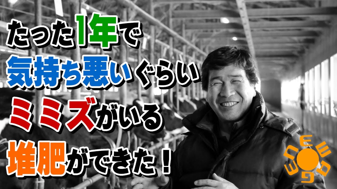 たった1年で気持ち悪いぐらいミミズがいる堆肥ができた！