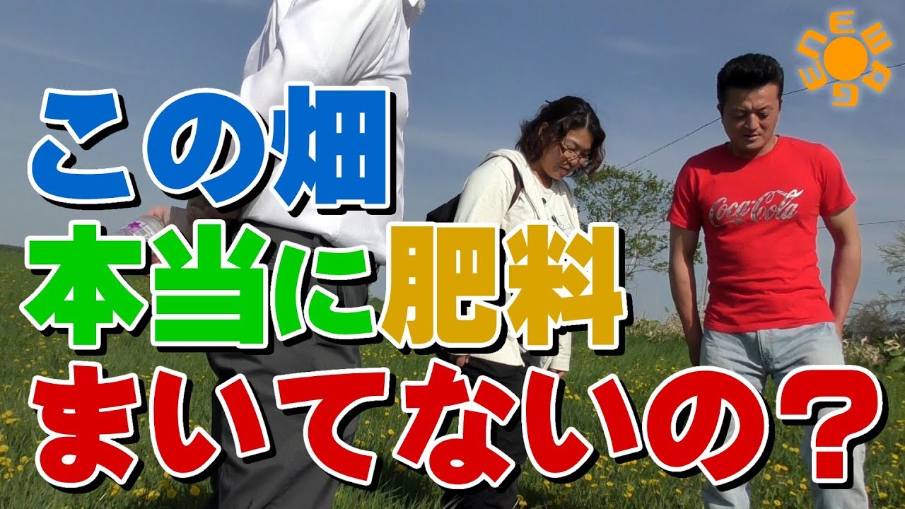 この畑、本当に肥料まいてないの？