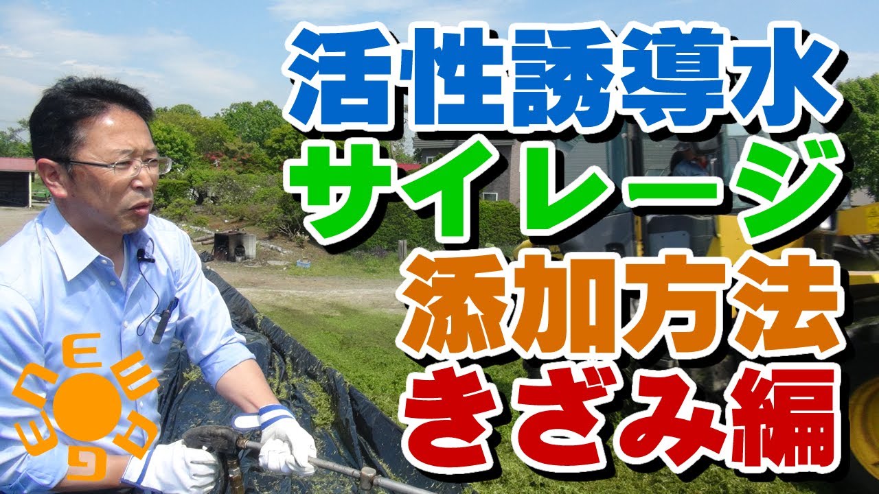 活性誘導水サイレージ添加方法　きざみ（細断）編