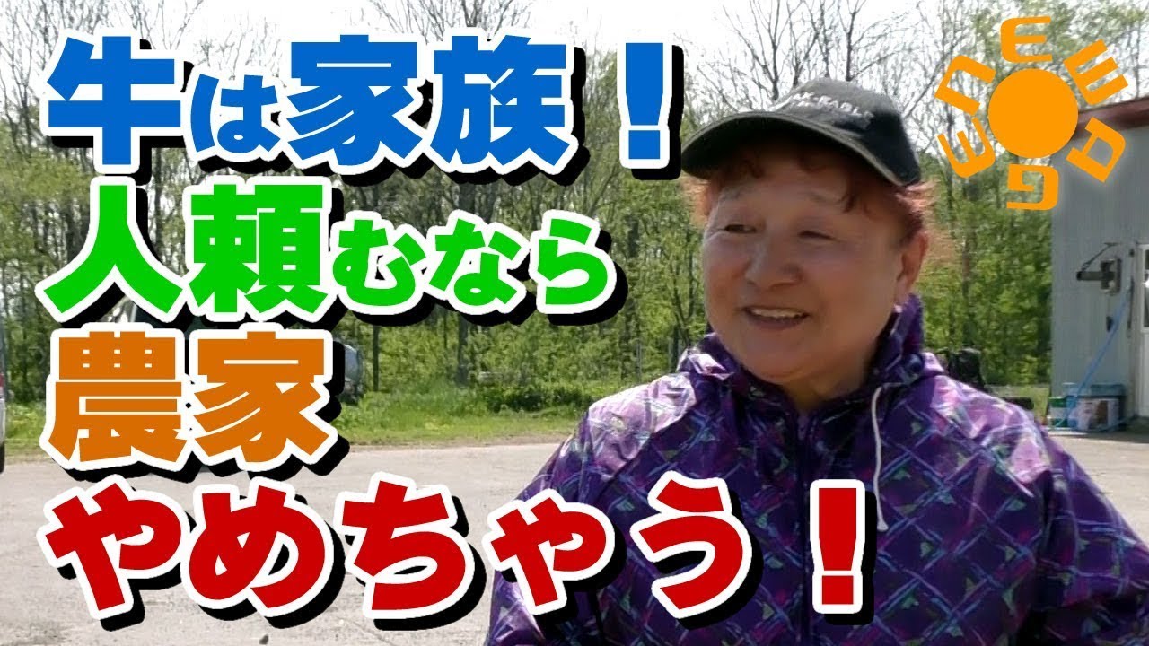 牛は家族！人を頼むぐらいなら農家やめちゃう！
