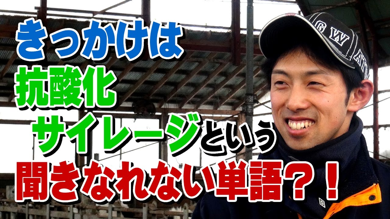 きっかけは 抗酸化サイレージ という聞きなれない単語？！