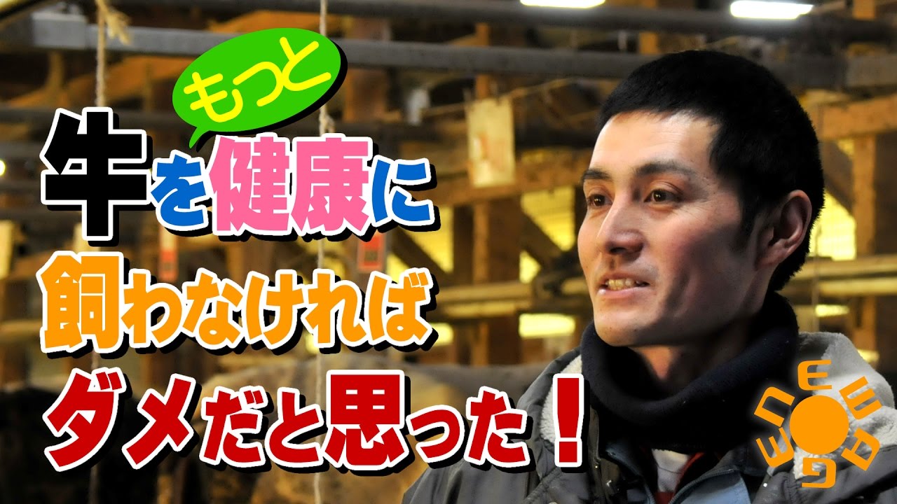 牛をもっと健康に飼わなければダメだと思った！