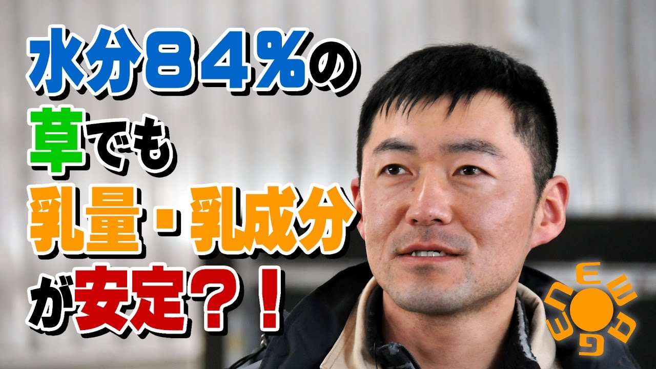 水分８４％の草でも乳量・乳成分が安定？！
