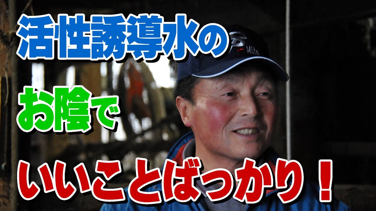 活性誘導水のお陰でいいことばっかり！