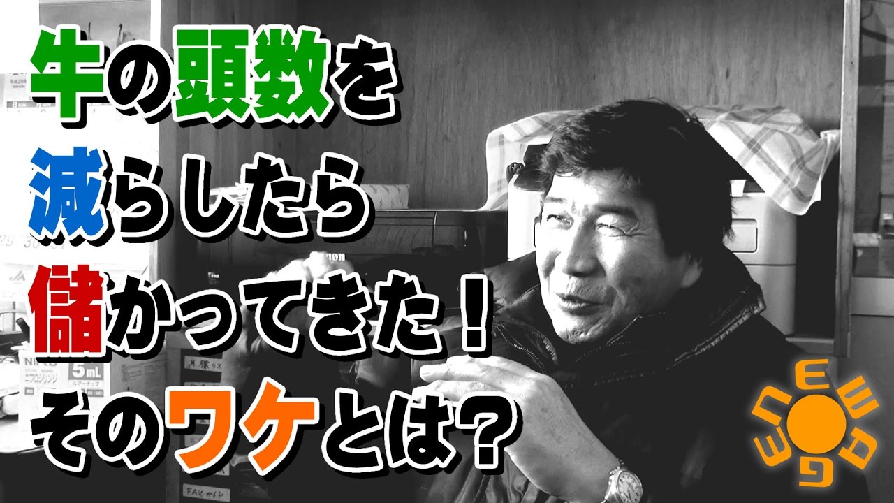 牛の頭数を減らしたら儲かってきた！そのワケとは？