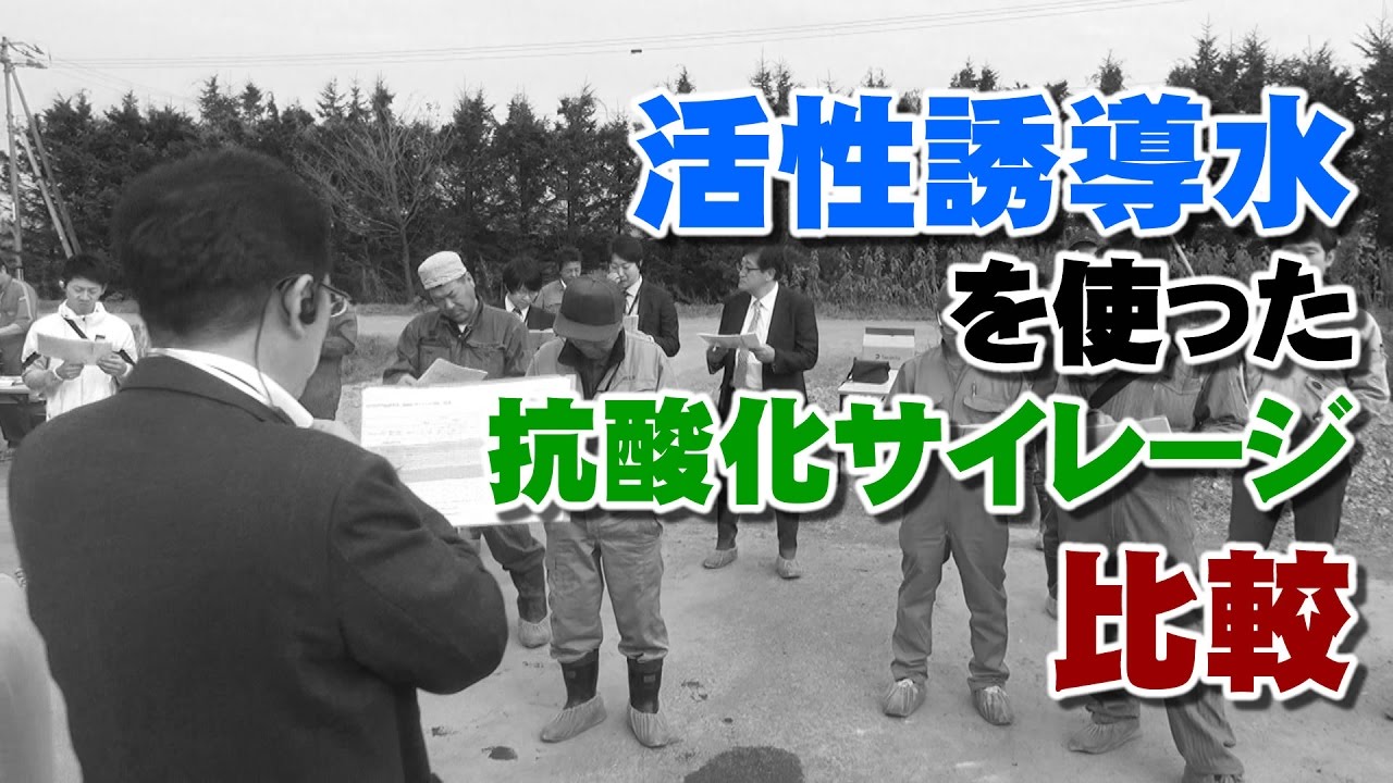 活性誘導水を使った抗酸化サイレージの特徴とは？