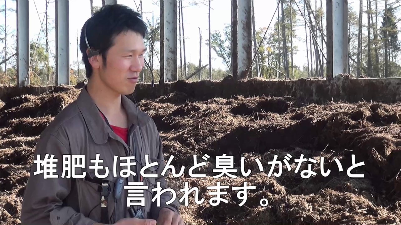 活性誘導水で牛が病気にならない儲かる酪農経営を実現！