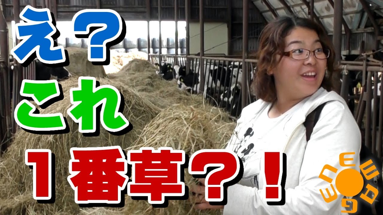 え？これ一番草？！