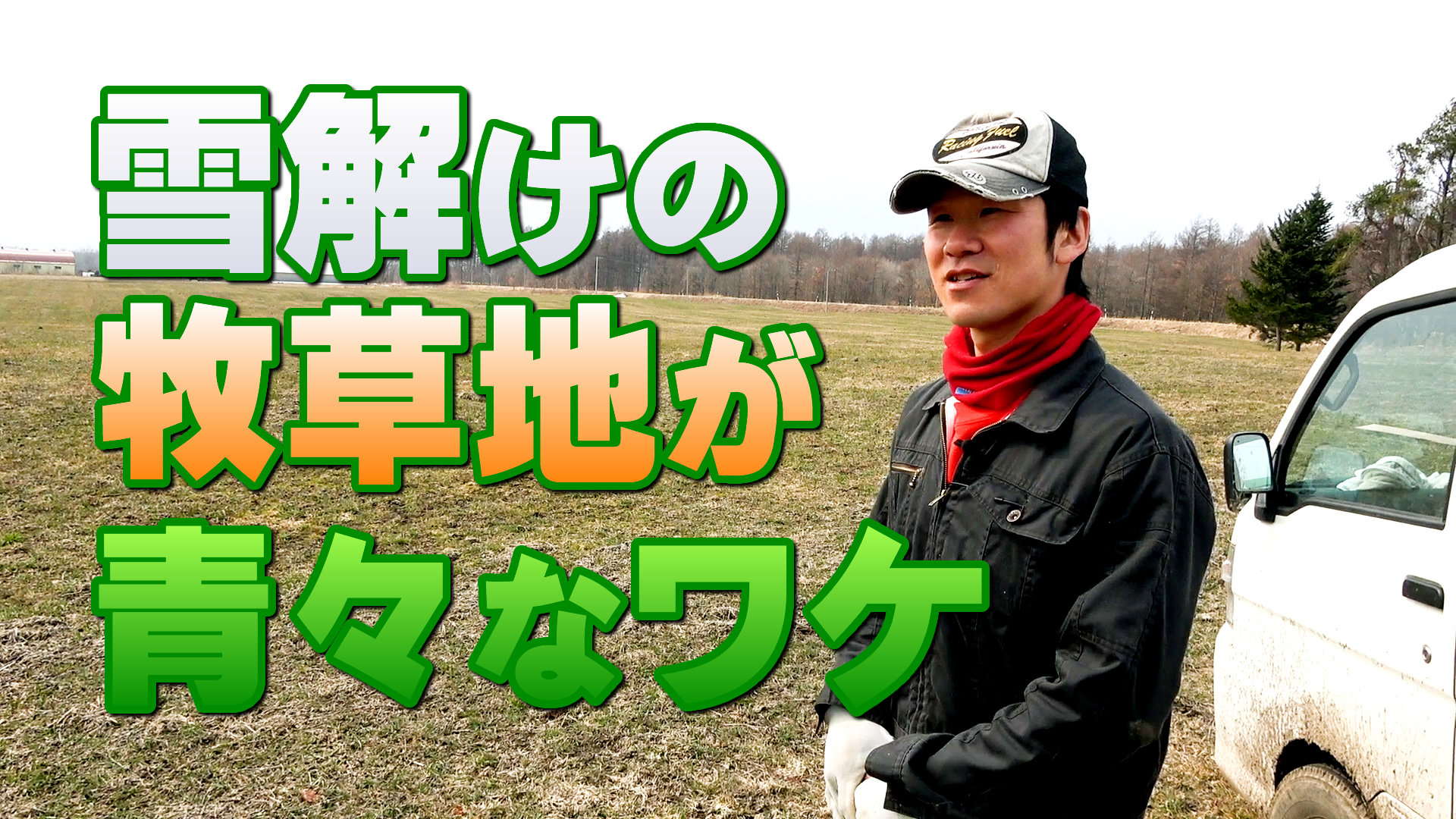 雪解けの牧草地が青々しているワケとは？ デイリーネットワーク【第８１回】