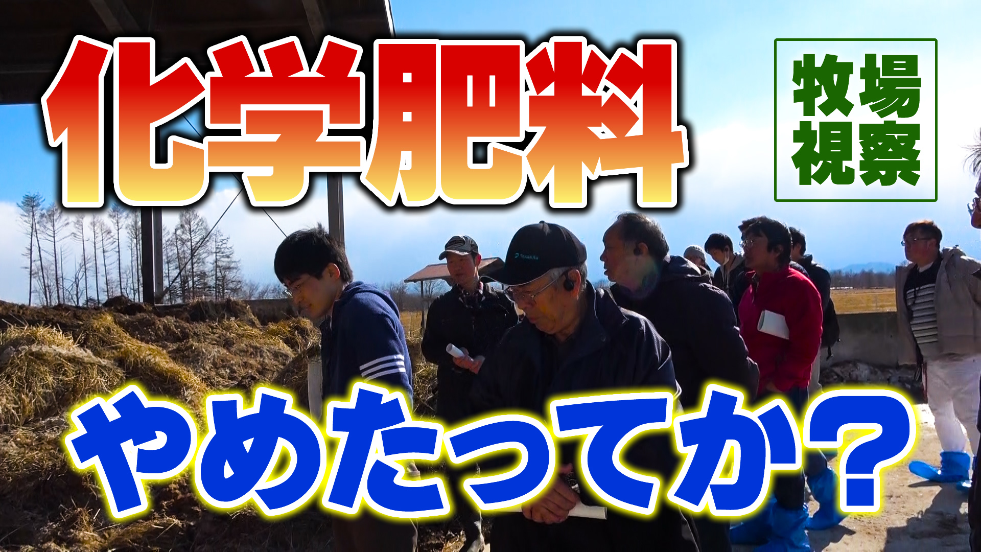 ３年で化学肥料をやめた牧場を視察！ デイリーネットワーク【第８９回】