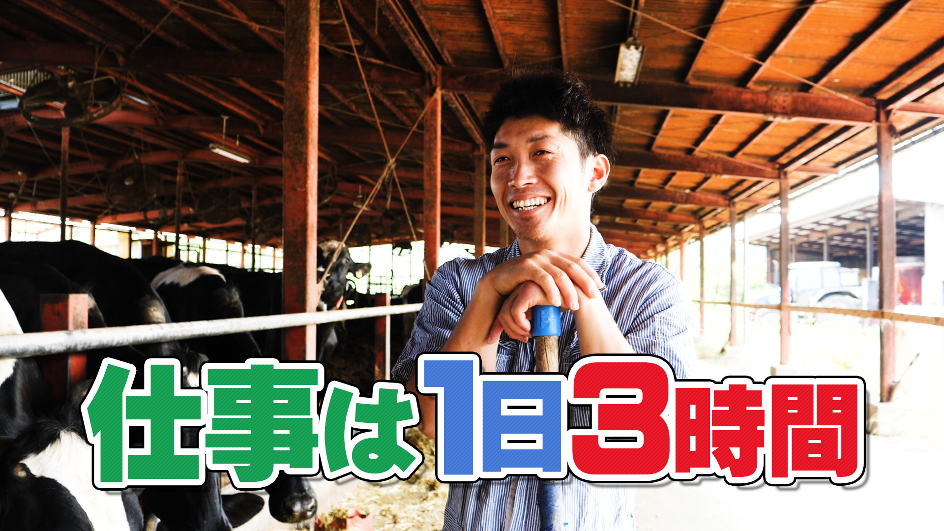 【特集】酪農家・徳山 彰 - 第１話『仕事は１日３時間』 - デイリーネットワーク【第９１回】