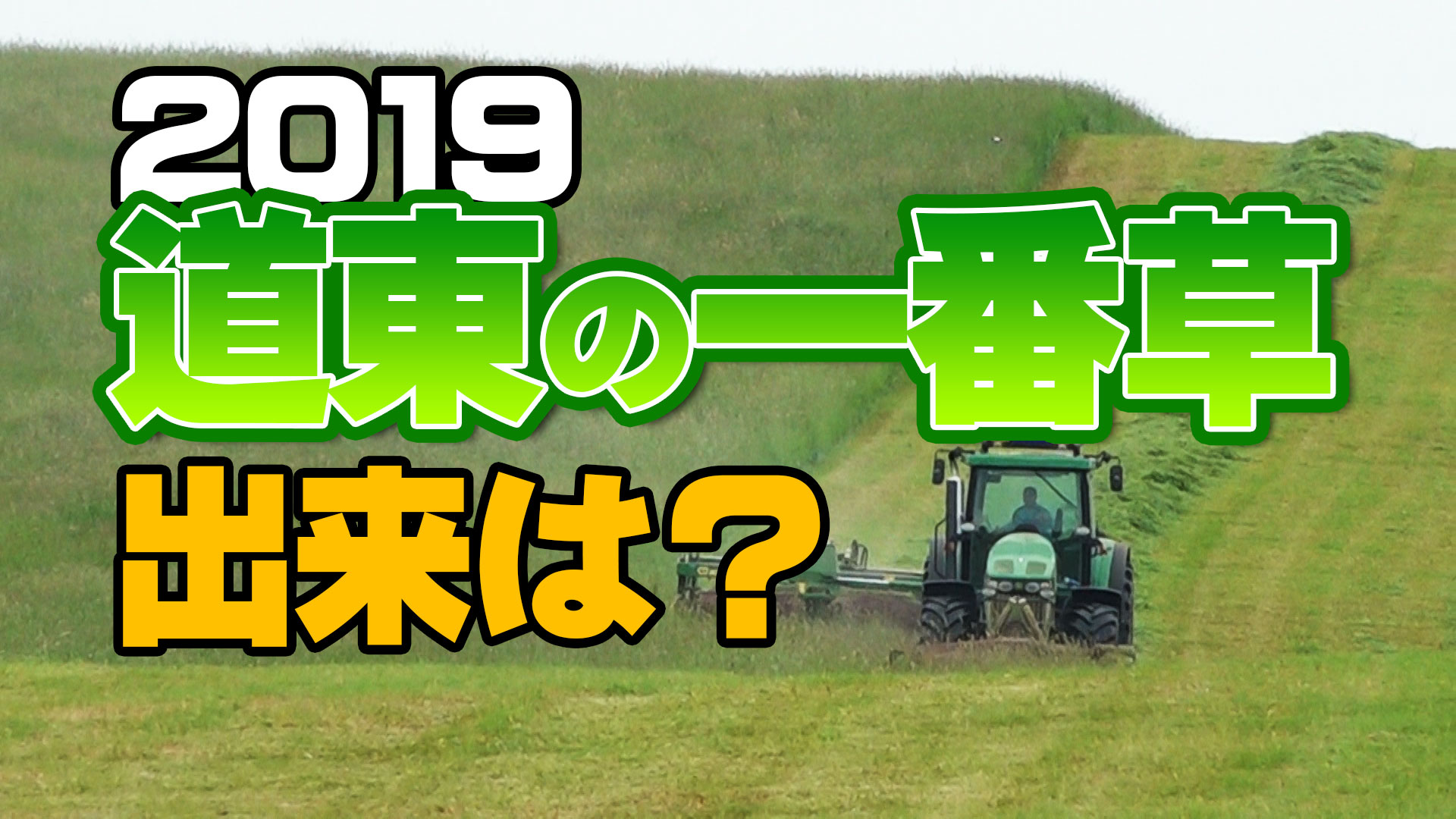 2019道東の一番草収穫！出来は？デイリーネットワーク【第９４回】