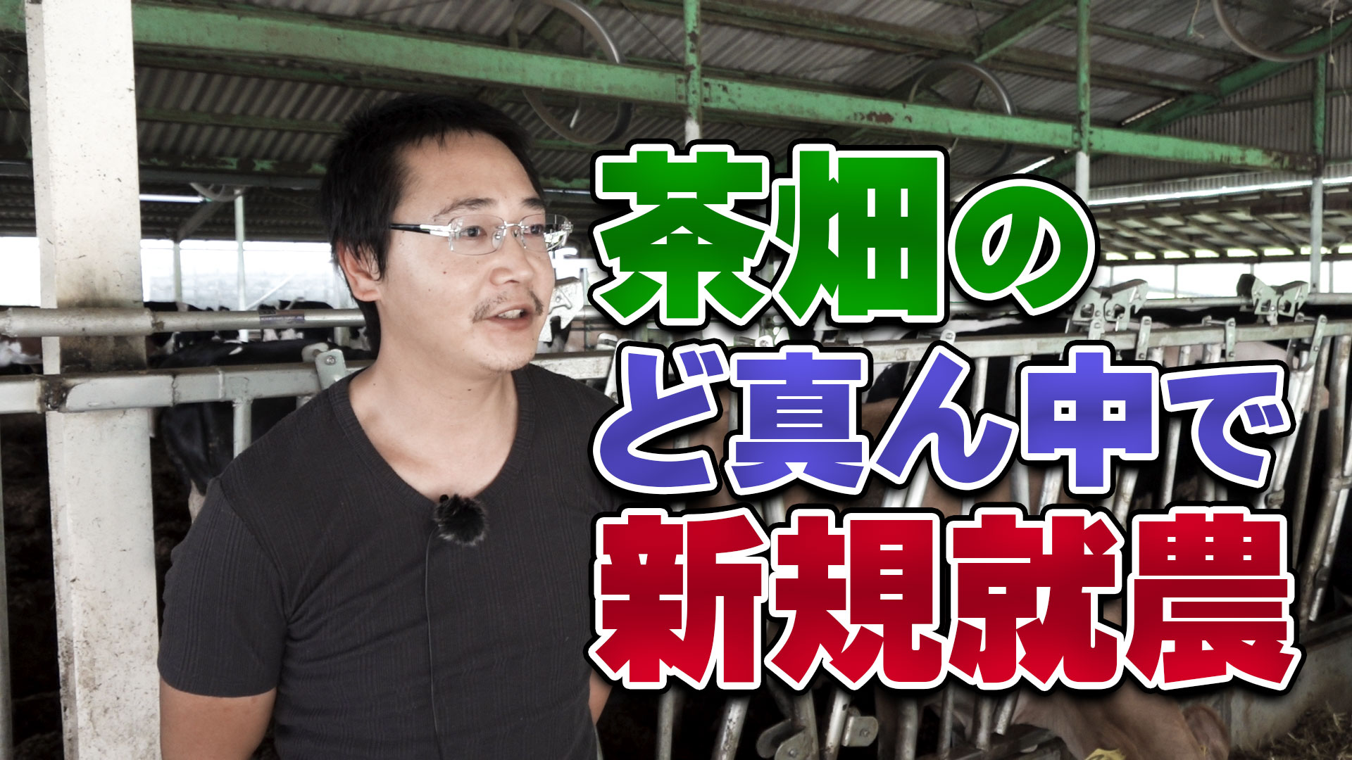 茶畑のど真ん中で新規就農！デイリーネットワーク【第９８回】