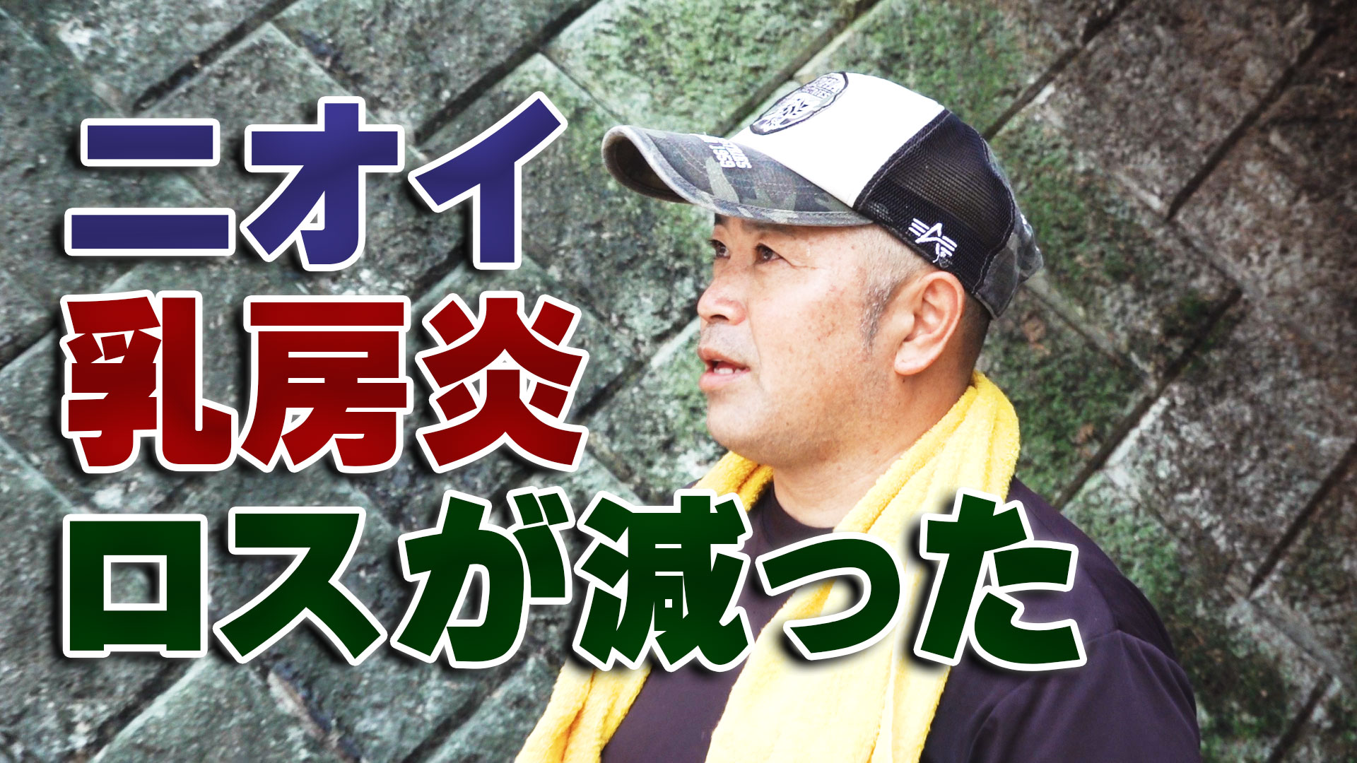 牧場のニオイや牛の乳房炎に効果！ロスが減って一石二鳥！デイリーネットワーク【第９９回】