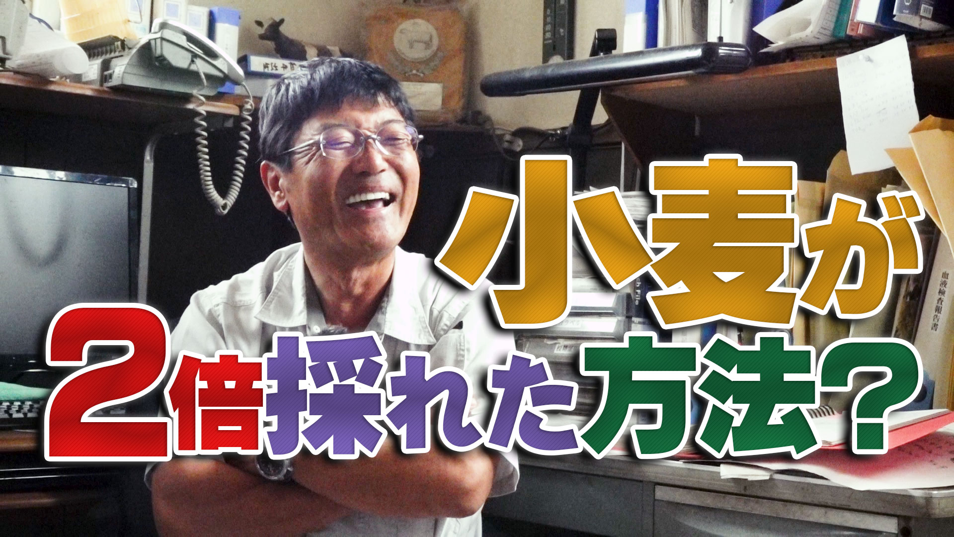 小麦の収量が２倍になった方法？デイリーネットワーク【第１０２回】