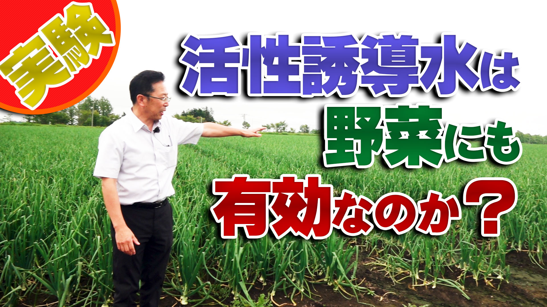 【実験】活性誘導水は野菜の成長に有効か？～玉ねぎ編～デイリーネットワーク【第１０４回
