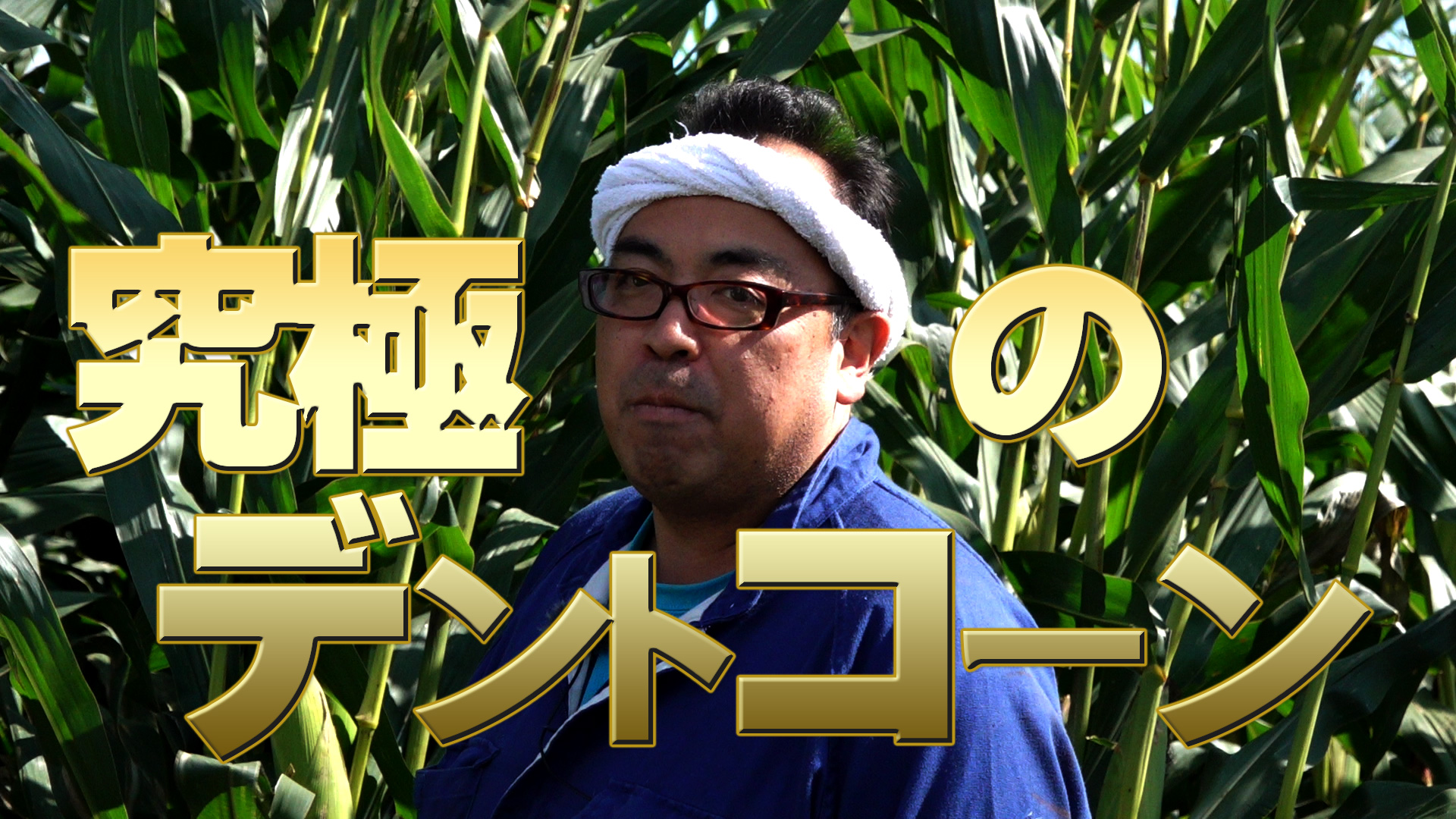 無化学肥料+完全不耕起！究極のデントコーン完成！【DNW１１０】