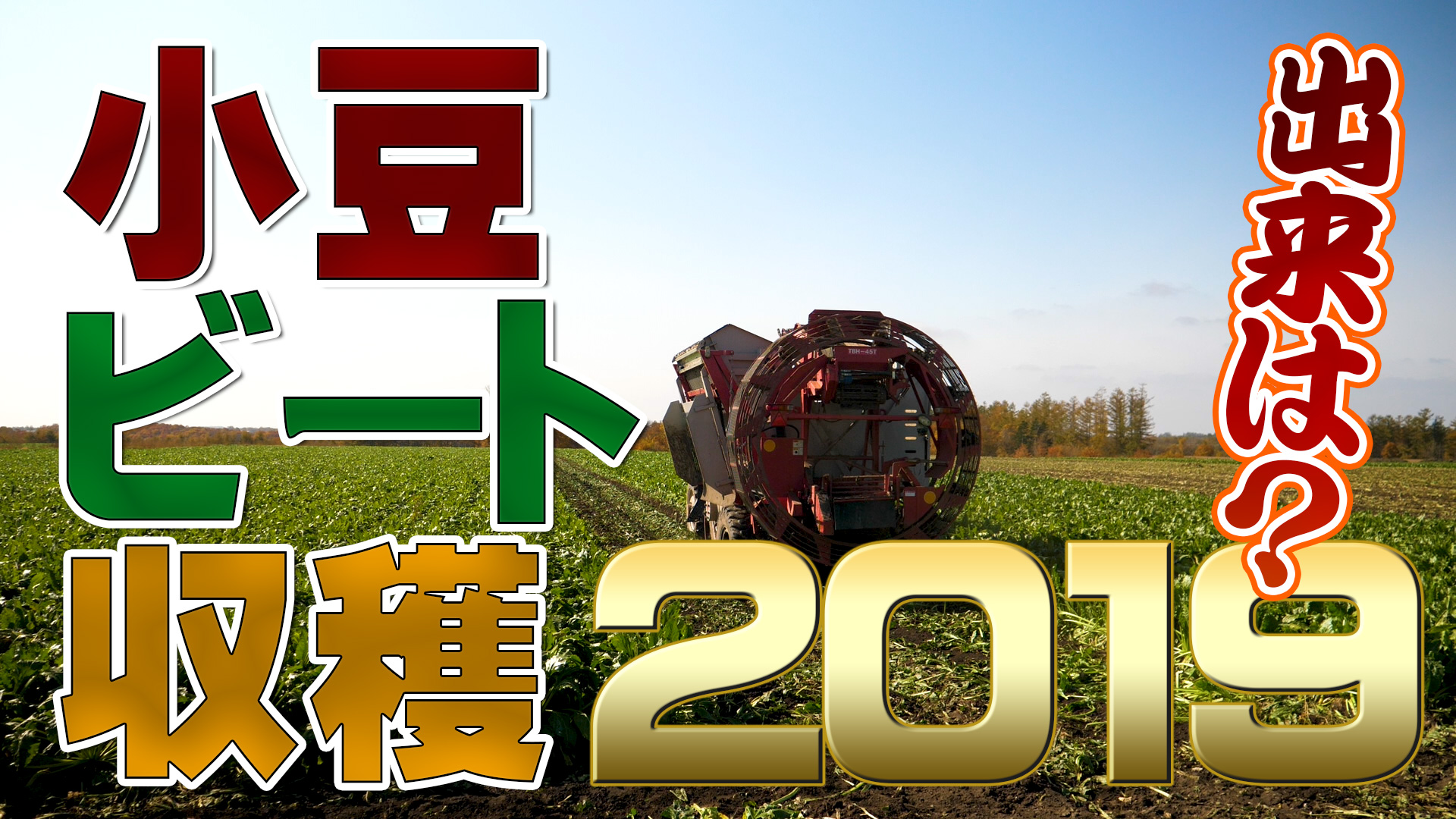 今年の出来は？小麦・ビートの収穫２０１９！【DNW１１２】