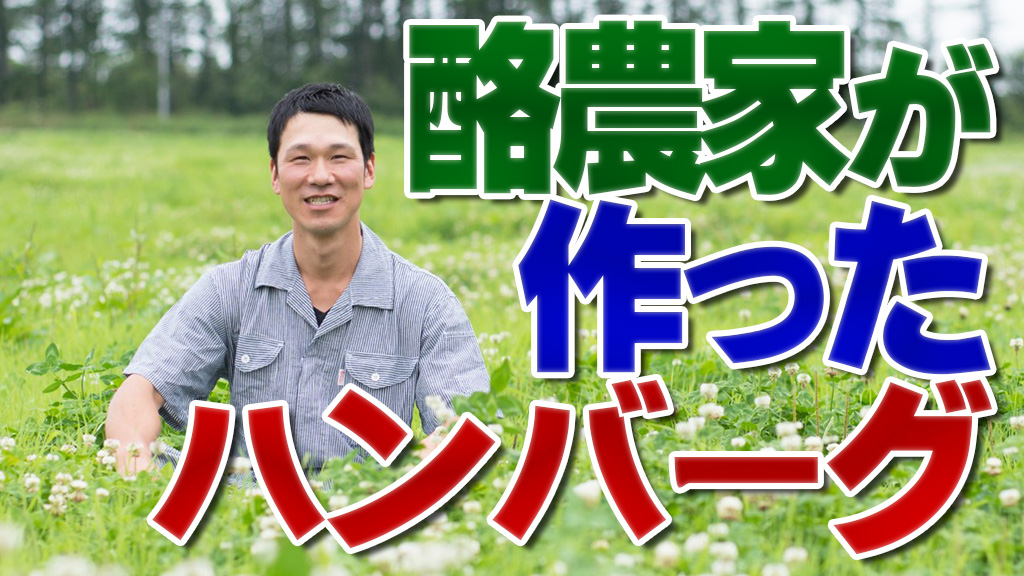 食レポあり【近日発売】酪農家が作った激旨ハンバーグ！ 【ＤＮＷ１１５】