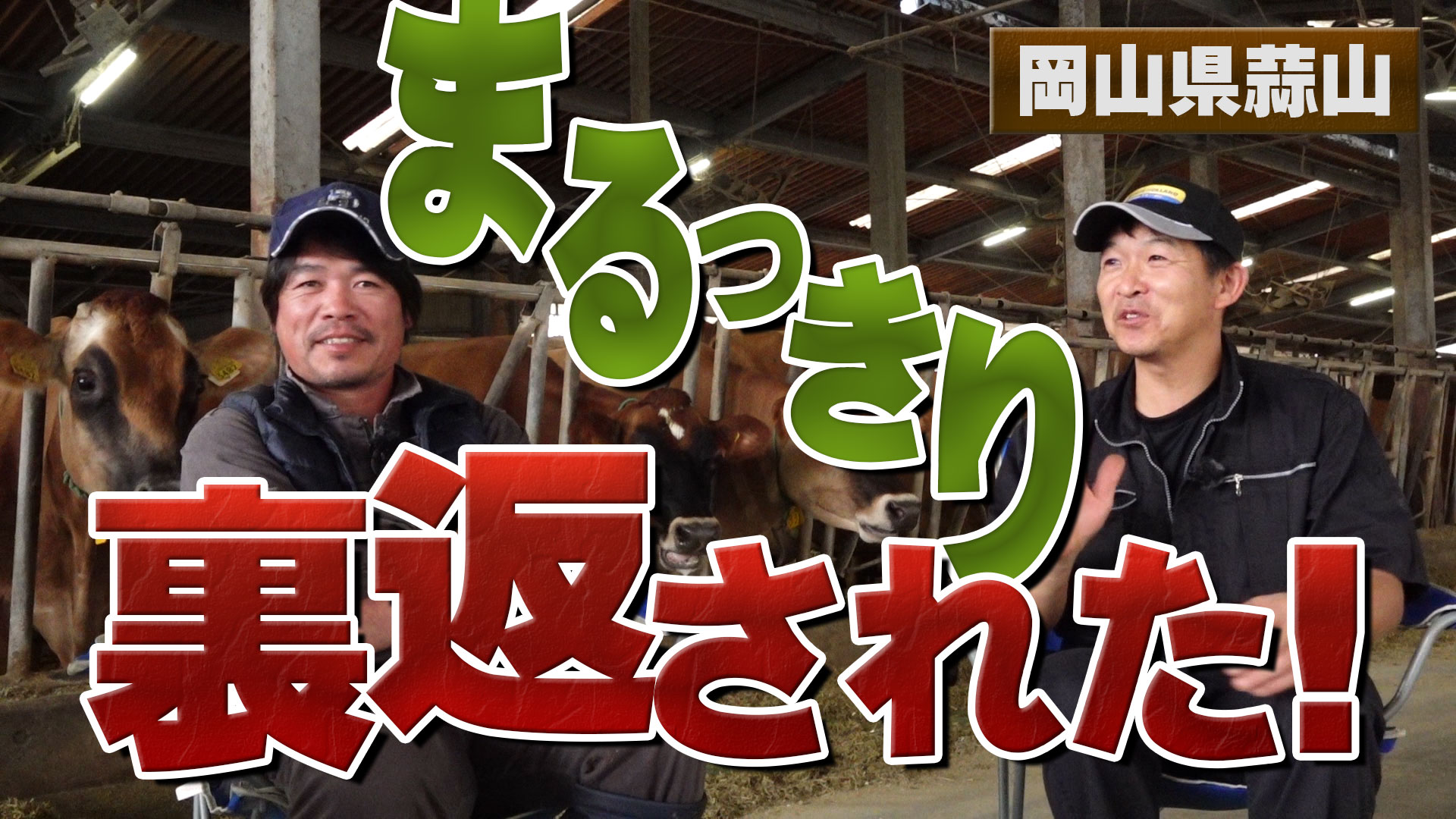 今まで信じてきたものがまるっきり裏返された！【DNW１１８】