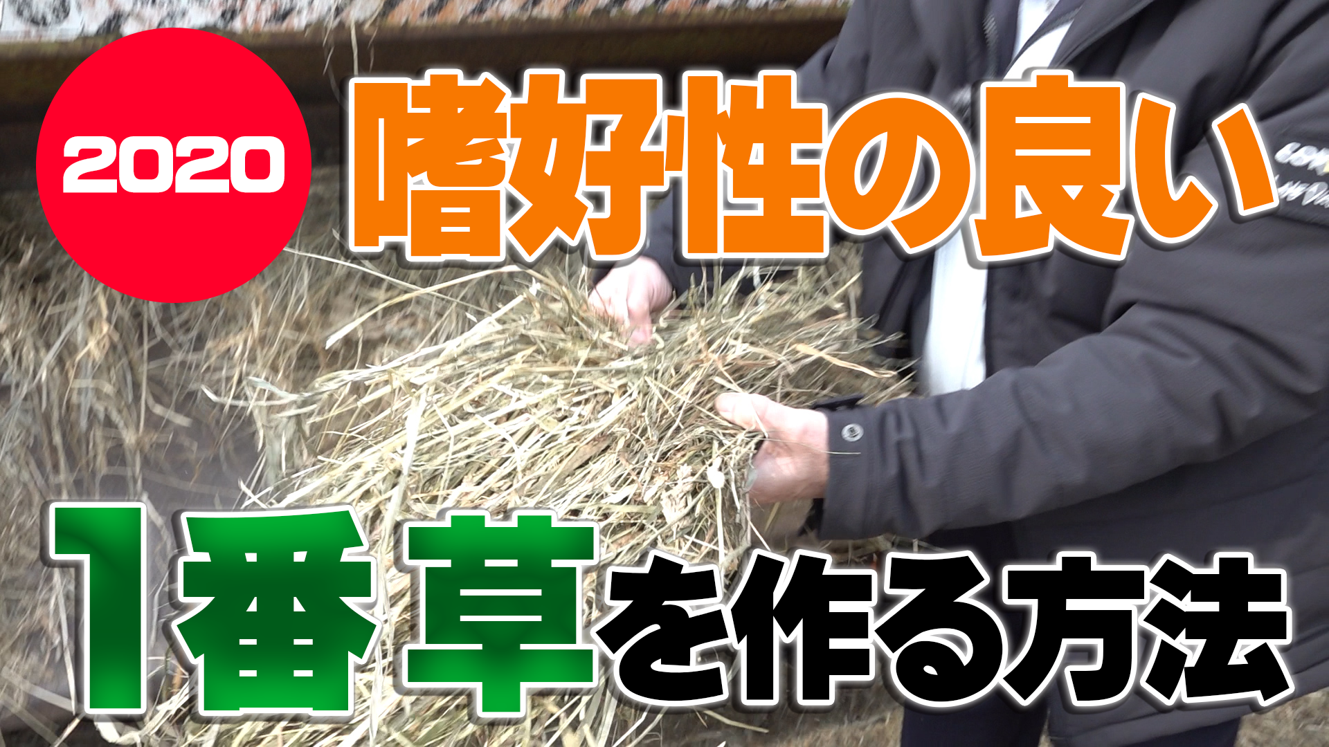 【2020年1番草】活性誘導水で嗜好性の良い1番草を作る方法【第１３２回】