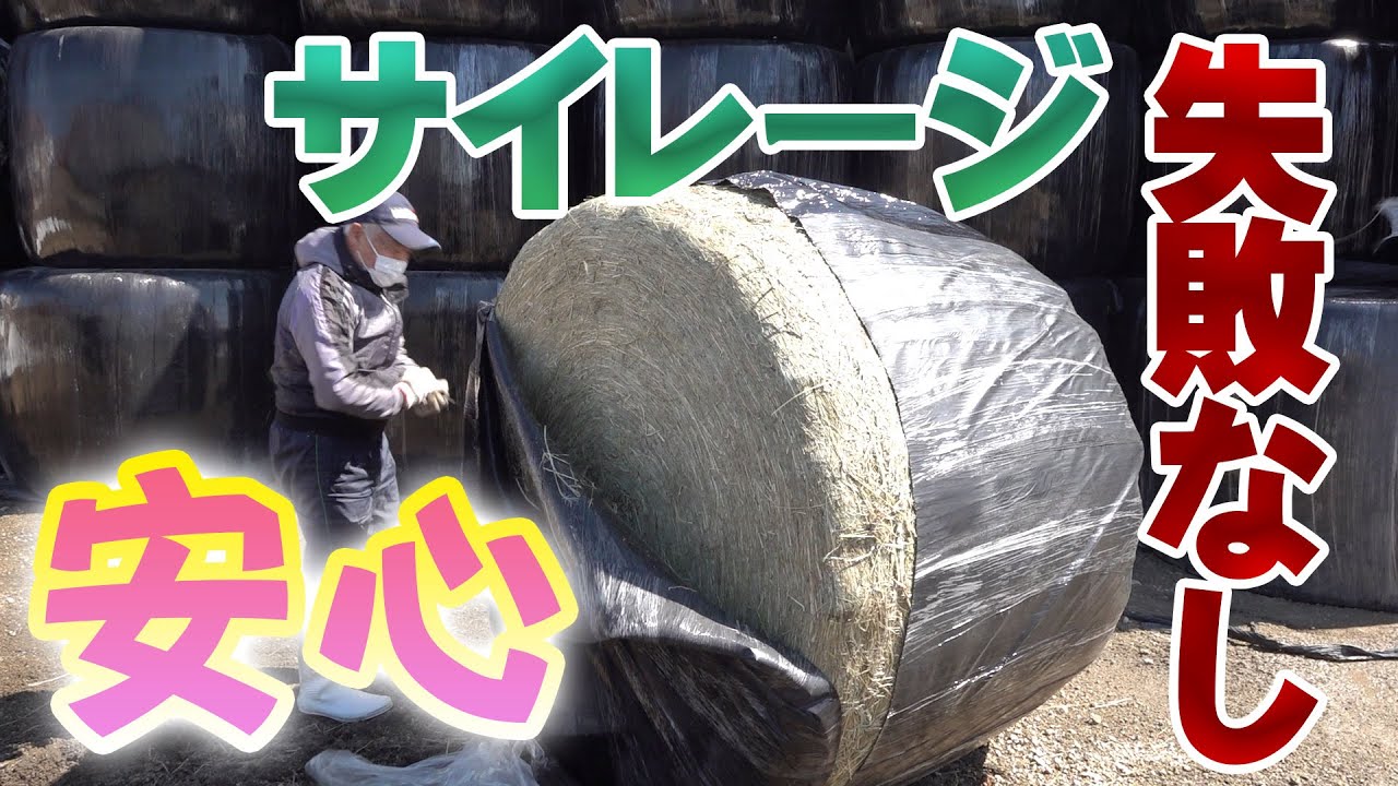 【安心】どんな水分でもサイレージが失敗しない【第133回】