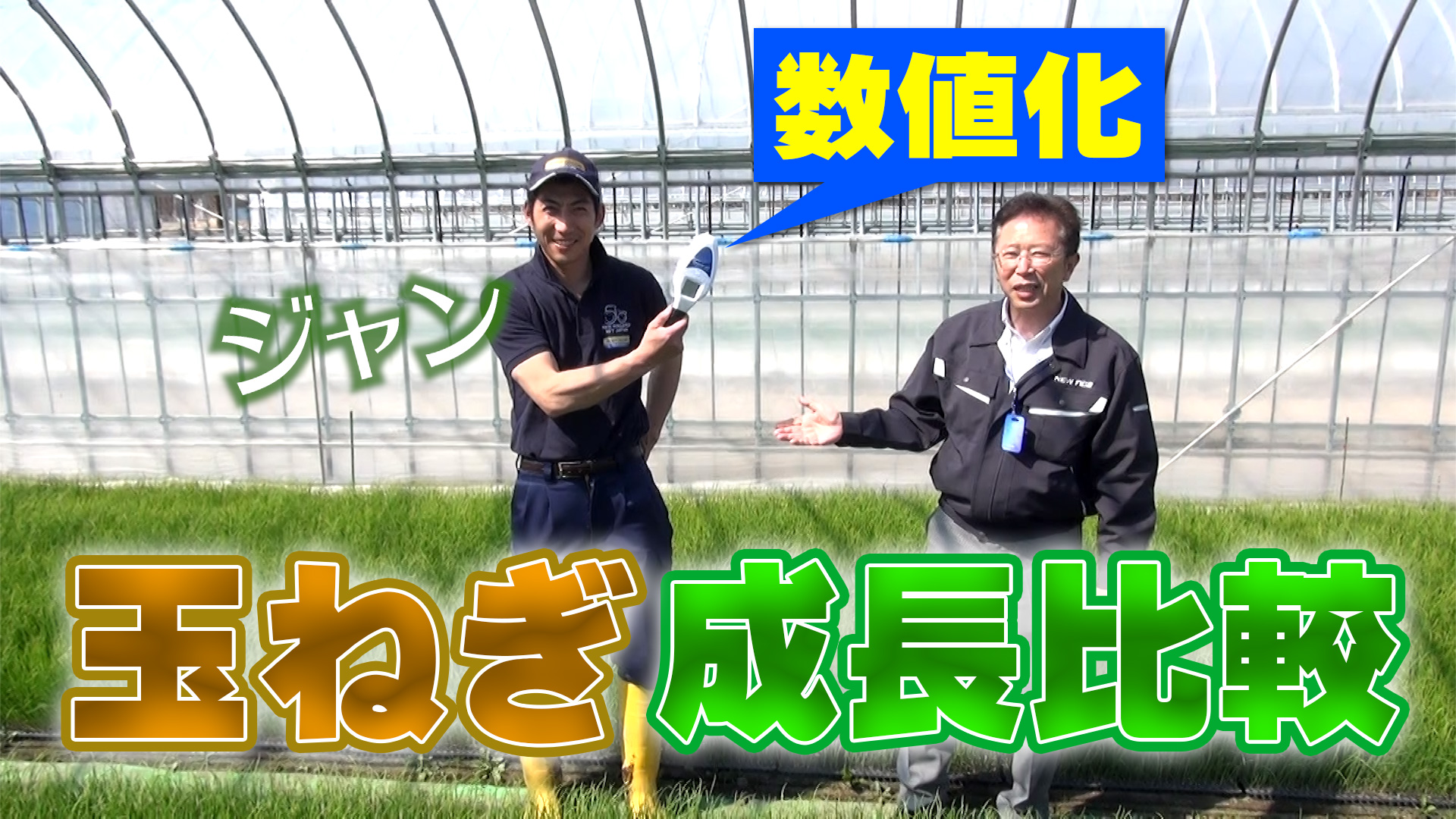 【成育数値化】玉ねぎの成育比較開始！活性誘導水vs無添加水【第137回】