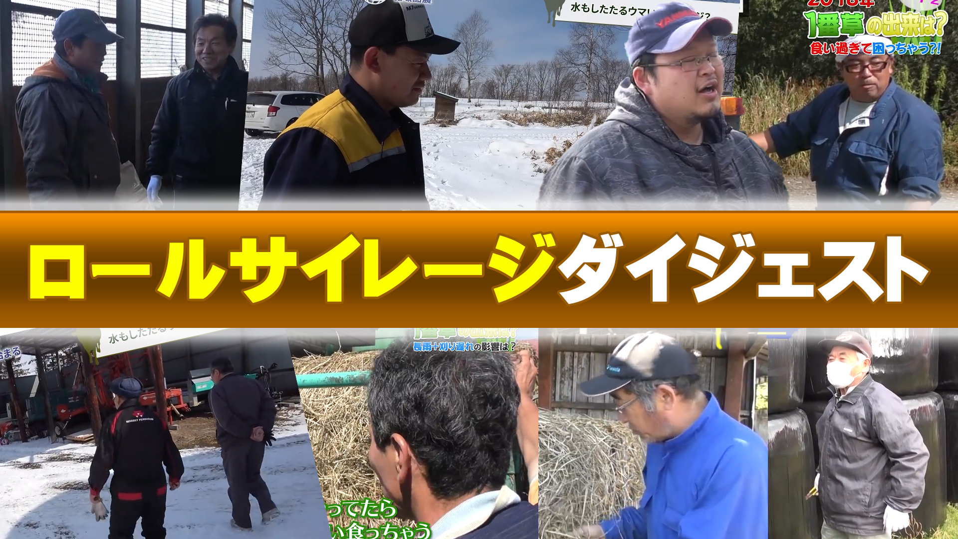 ロールサイレージダイジェスト「高水分？むしろ大歓迎！」【第135回】