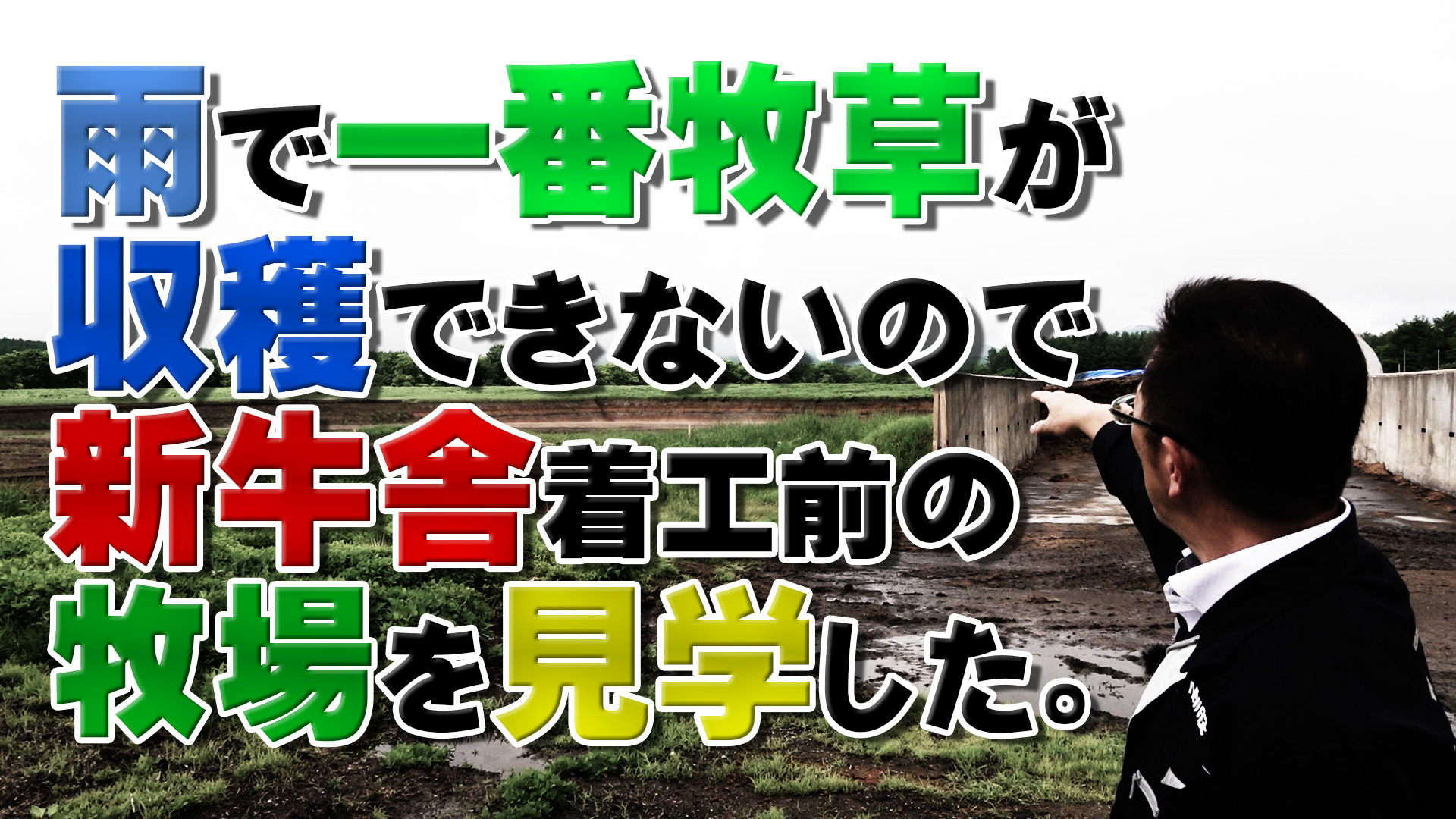 雨で一番牧草が収穫できないので新牛舎着工前の牧場を見学してきた。【第143回】
