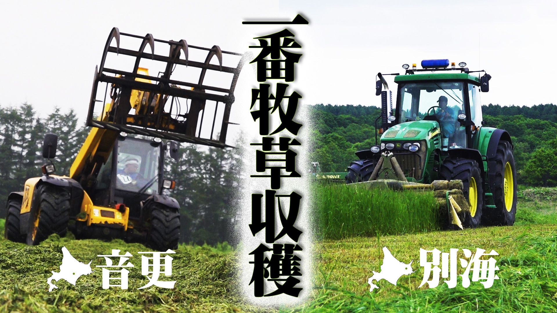 一番牧草収穫2020北海道・別海町＆音更町【第145回】